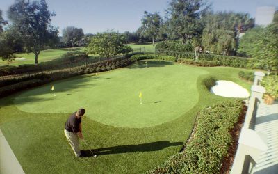 Backyard Putting Greens – Your Ultimate Guide